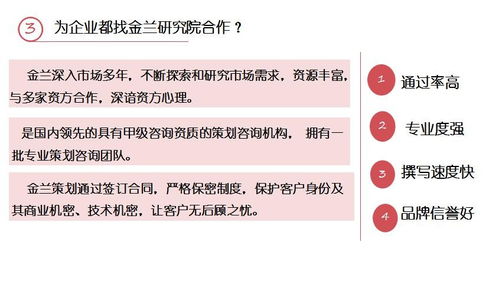 麗江市項(xiàng)目計(jì)劃書(shū)專業(yè)撰寫(xiě)與策劃服務(wù)指南